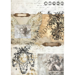 copy of 